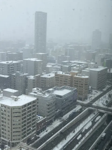 2月真冬の札幌は雪が降ると街がグレーになります