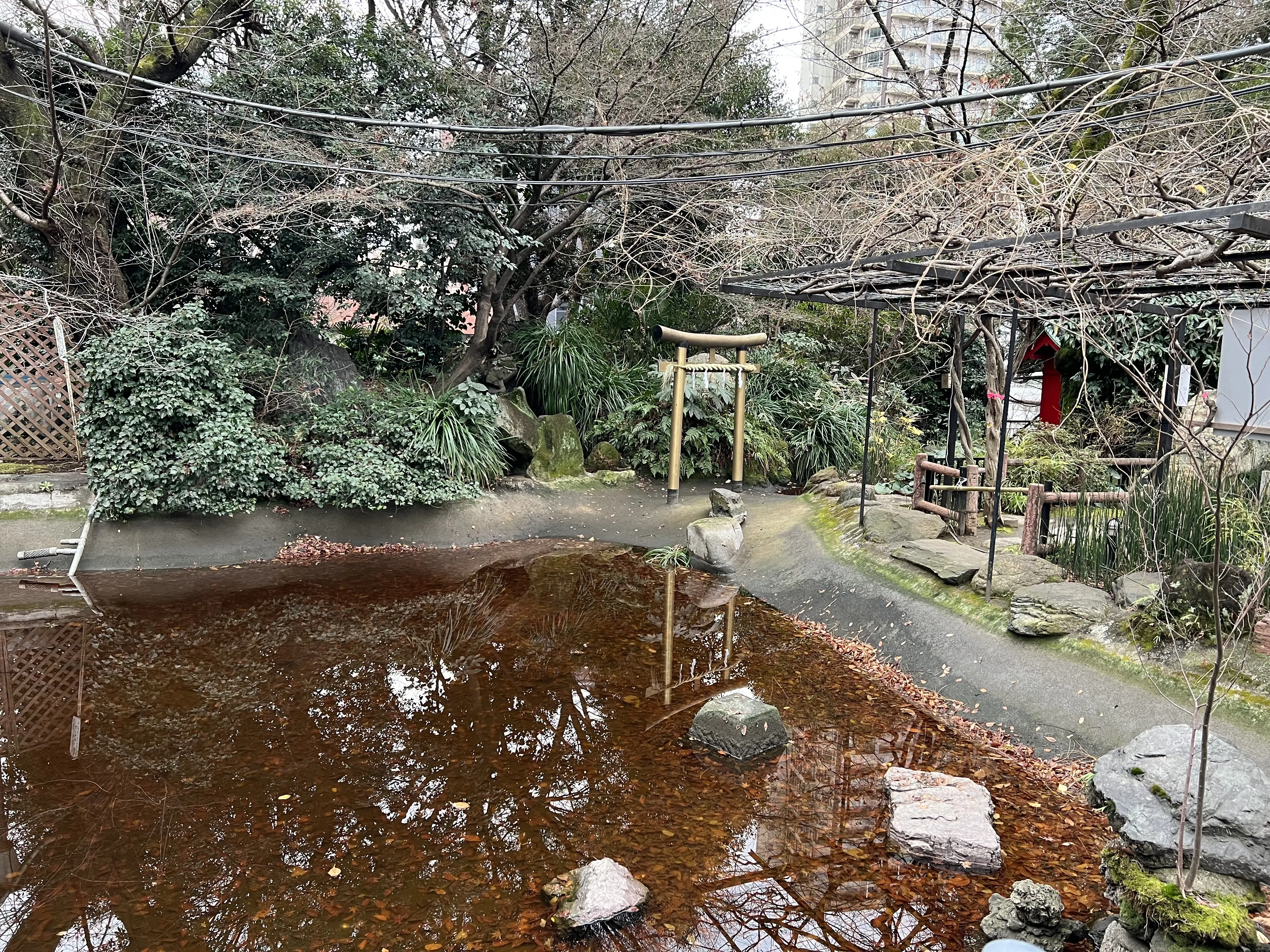 愛宕神社へ初詣♪_1_15