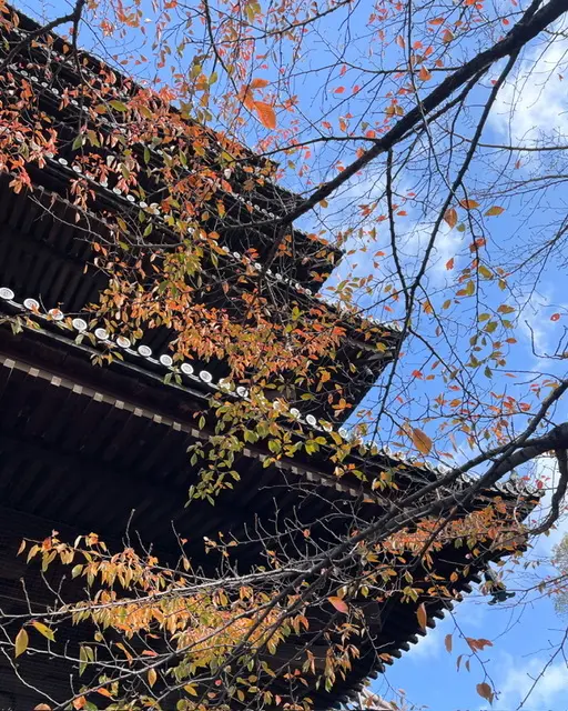 冬の京都。_1_10-1