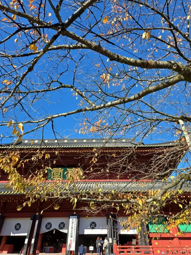 晩秋の日光・宇都宮旅 前編 世界遺産めぐり_1_17