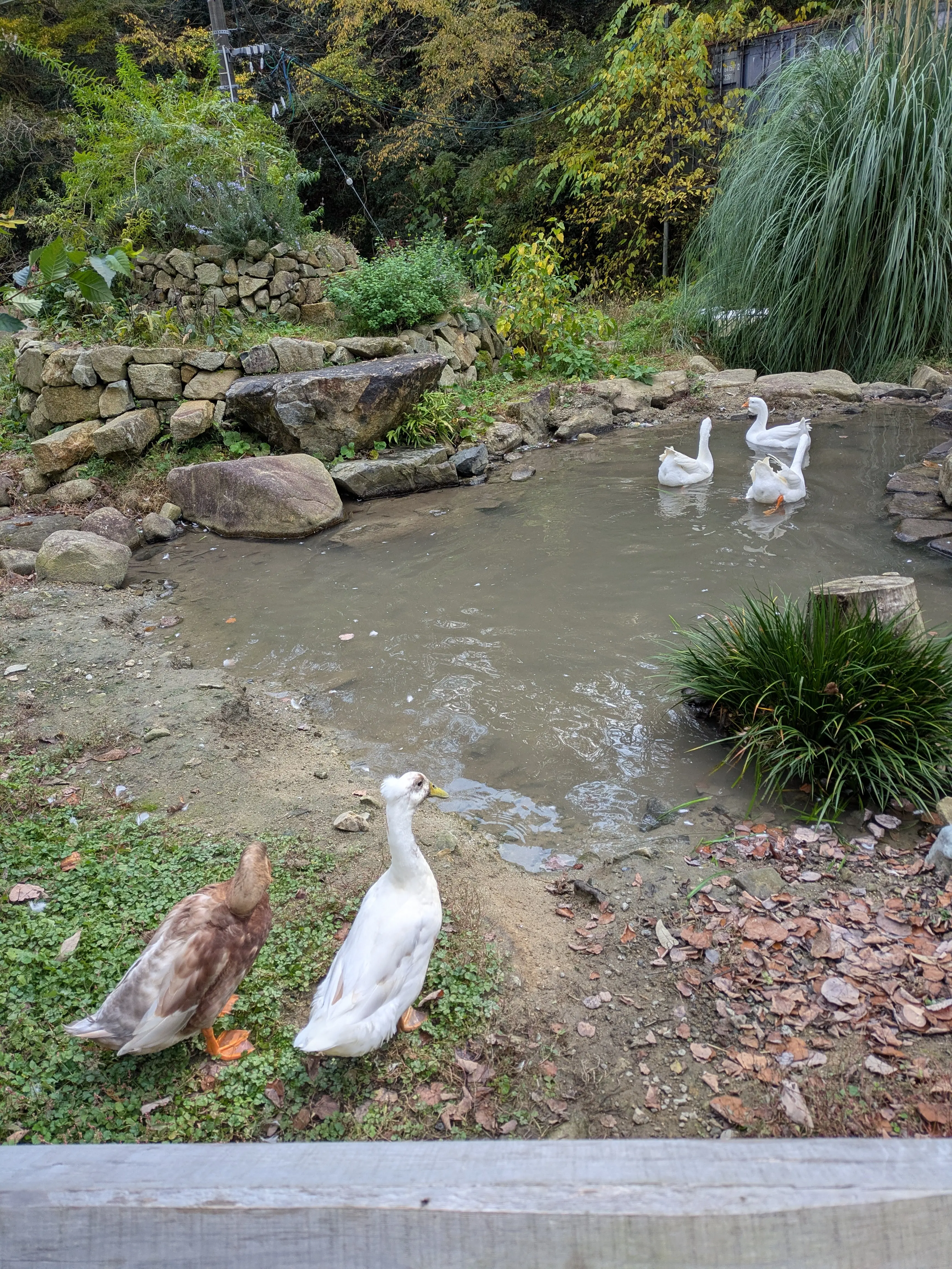 森の中の小さなパン屋さんでブランチデート♡_1_18-3