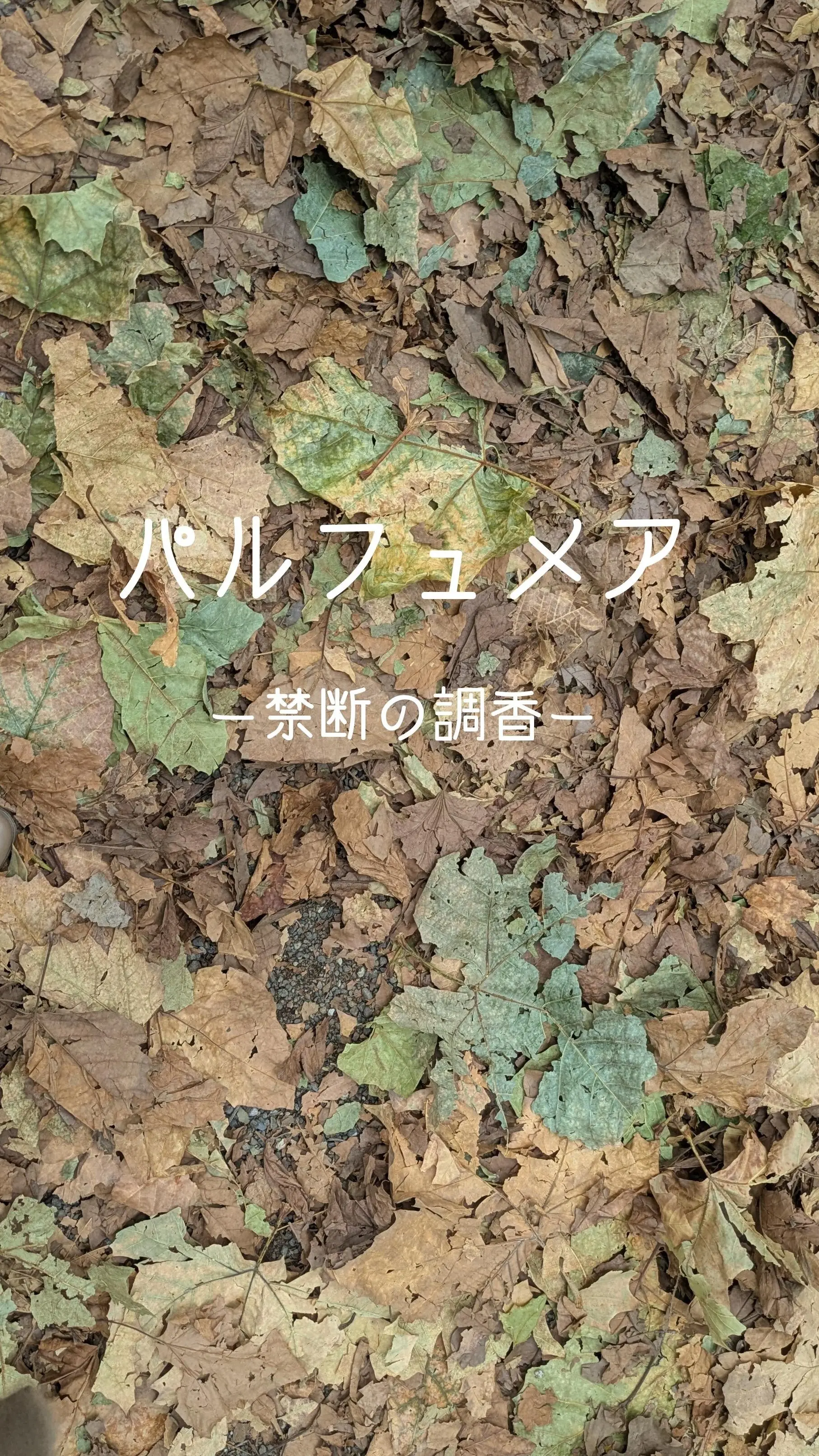 パーフュームある人殺しの物語