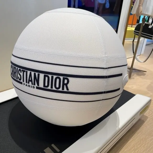 本物保証得価】 Dior ディオール × テクノジム バランスボール ...