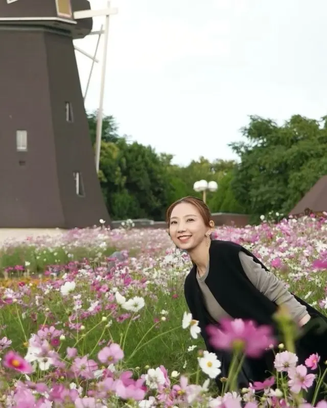 秋空とコスモスの丘✨_1_3