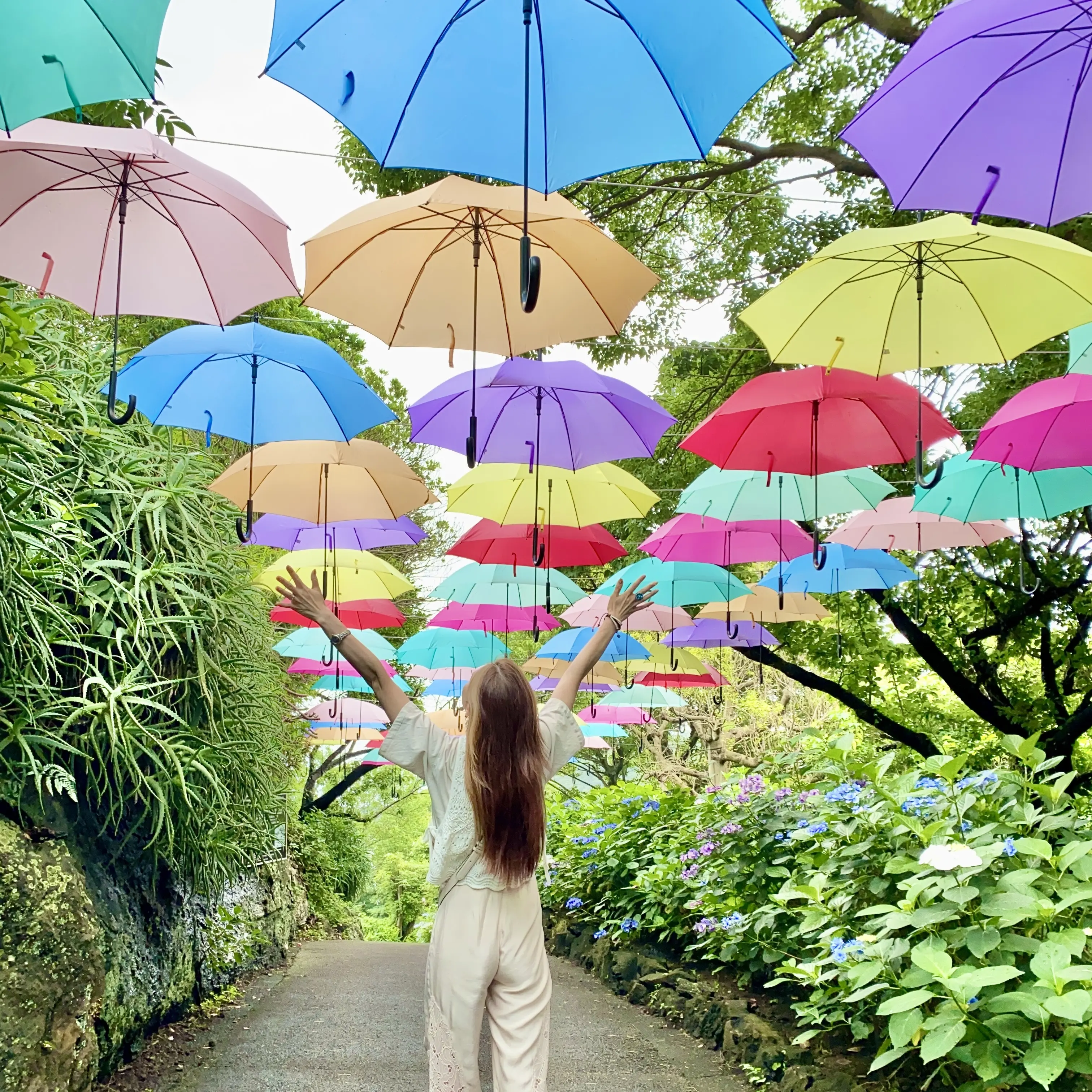 たくさんの色とりどりな傘があって綺麗