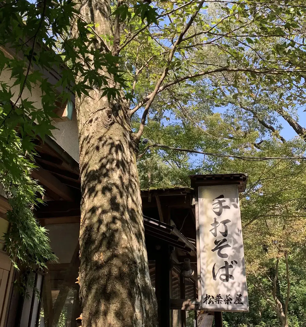 手打ちそばの名店「松葉茶屋」