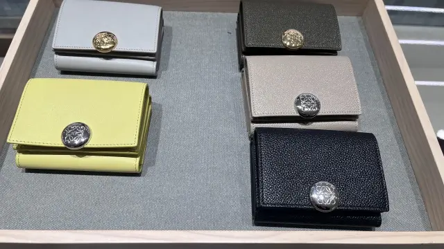 ロエベの気になるスモールウォレット_1_5