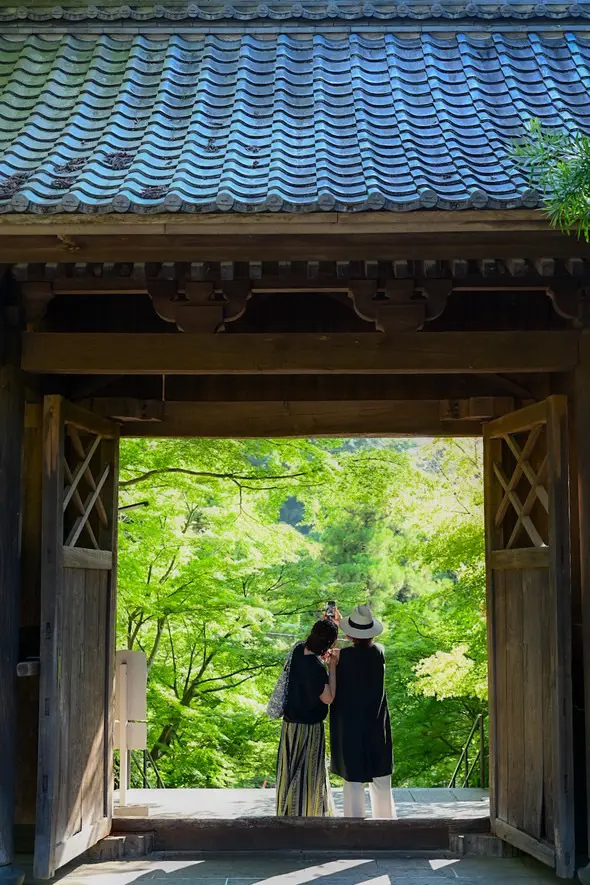 鎌倉円覚寺の風鈴棚に癒される夏🎐_1_14