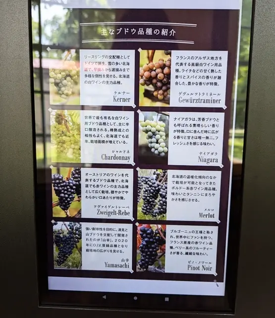 北海道産ワイン3種のテイスティング_1_14