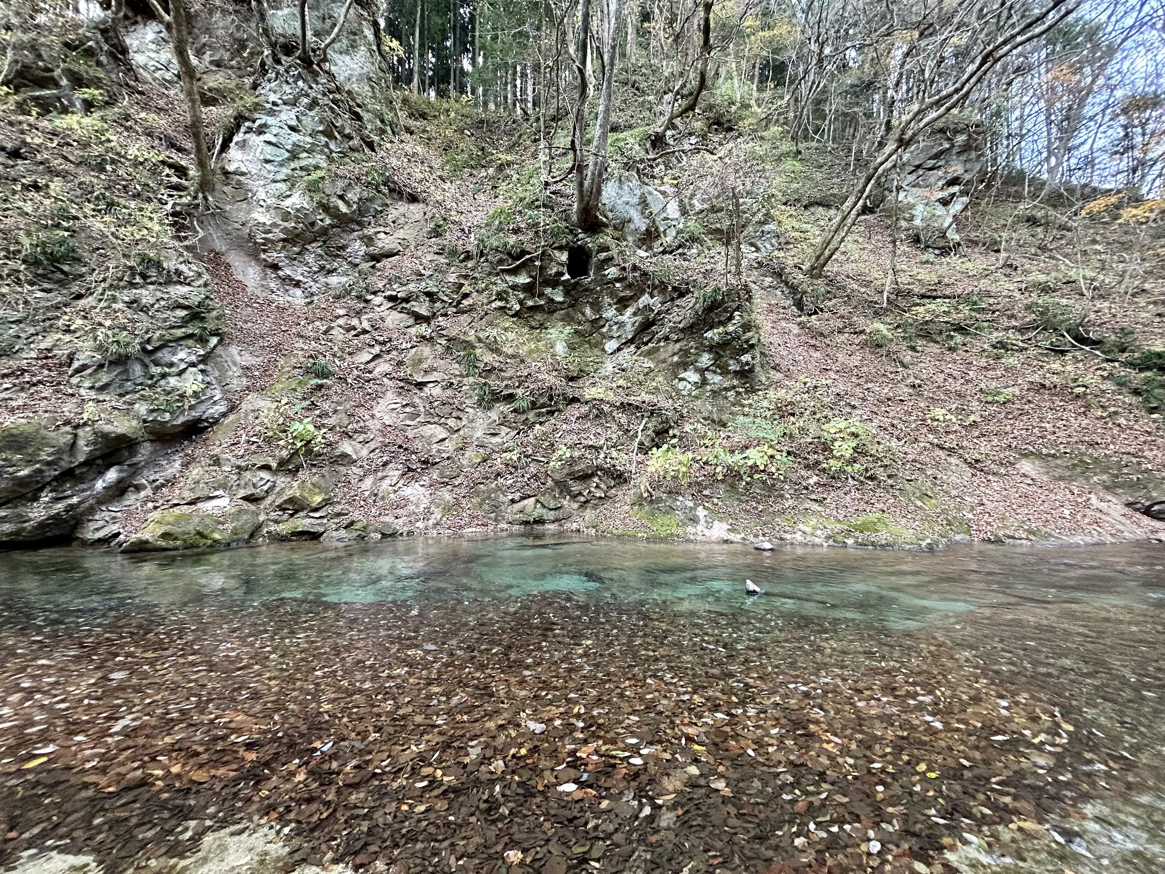 晩秋の那須高原へ紅葉狩りに_1_4