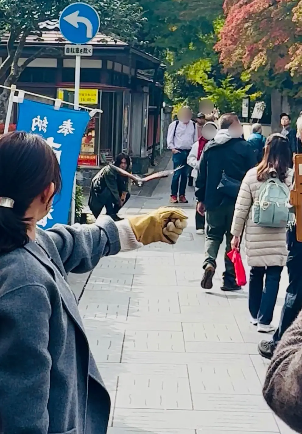 【秋の仙台旅行】「宮島」と「瑞巌寺」で鷹匠🦅にチャレンジ_1_11-3