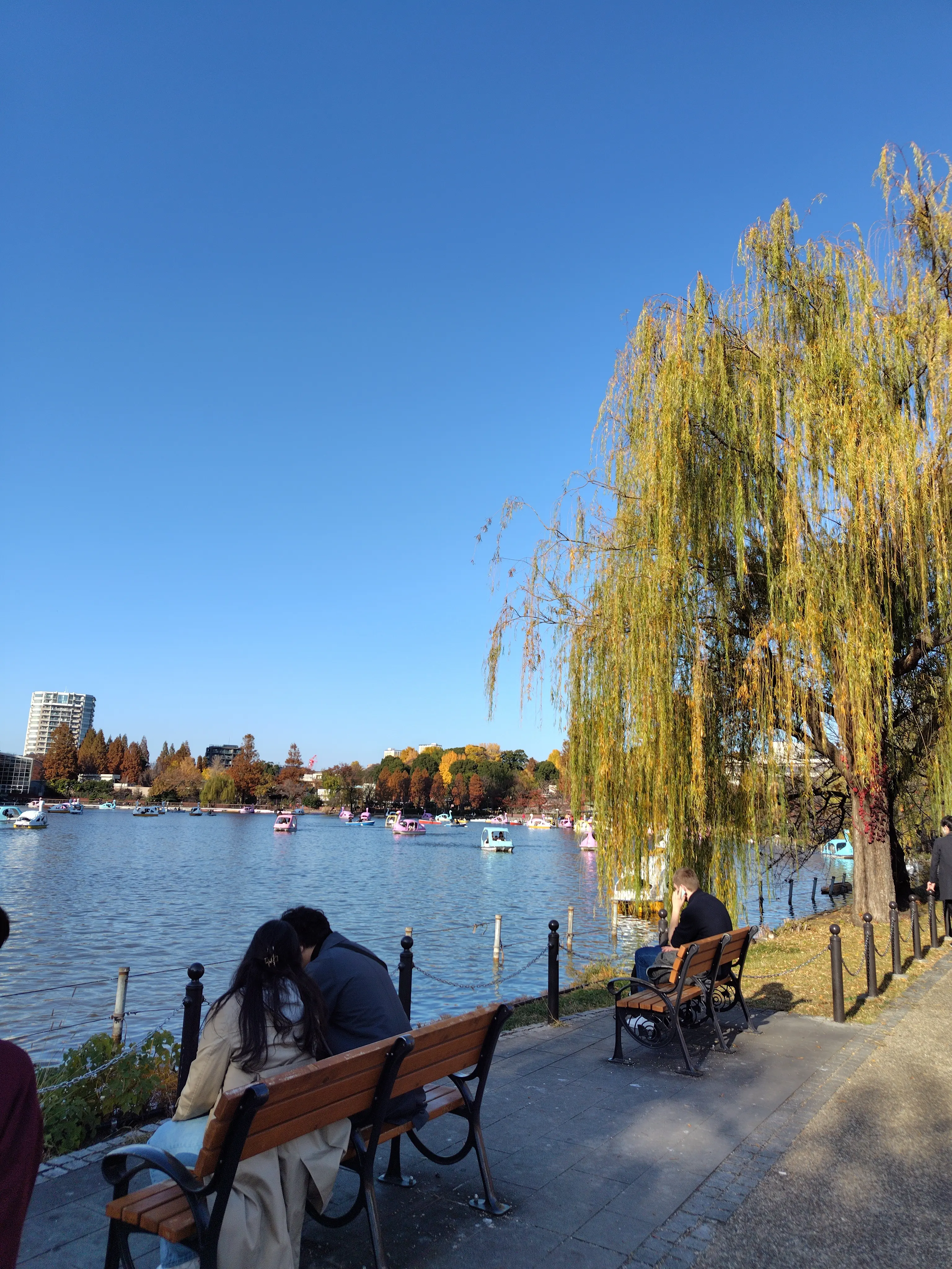 スカーフスタイルで紅葉の上野&amp;老舗グルメ_1_6