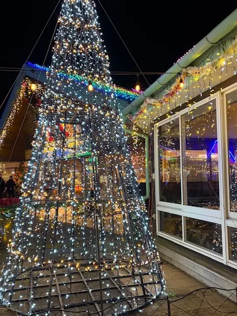 ドイツ村のウィンターイルミネーション素敵でした♪_1_1