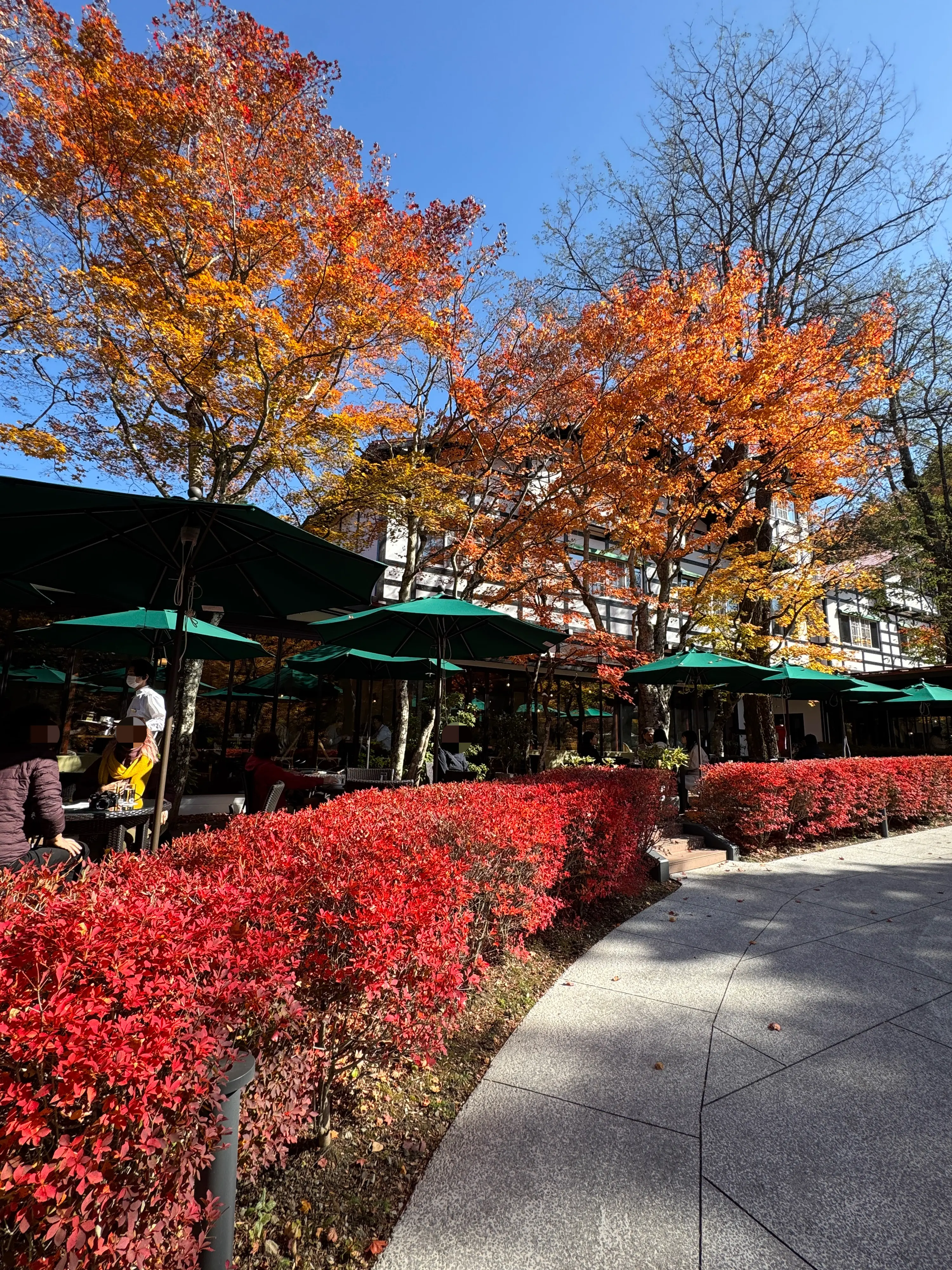 万平ホテル　カフェテラス