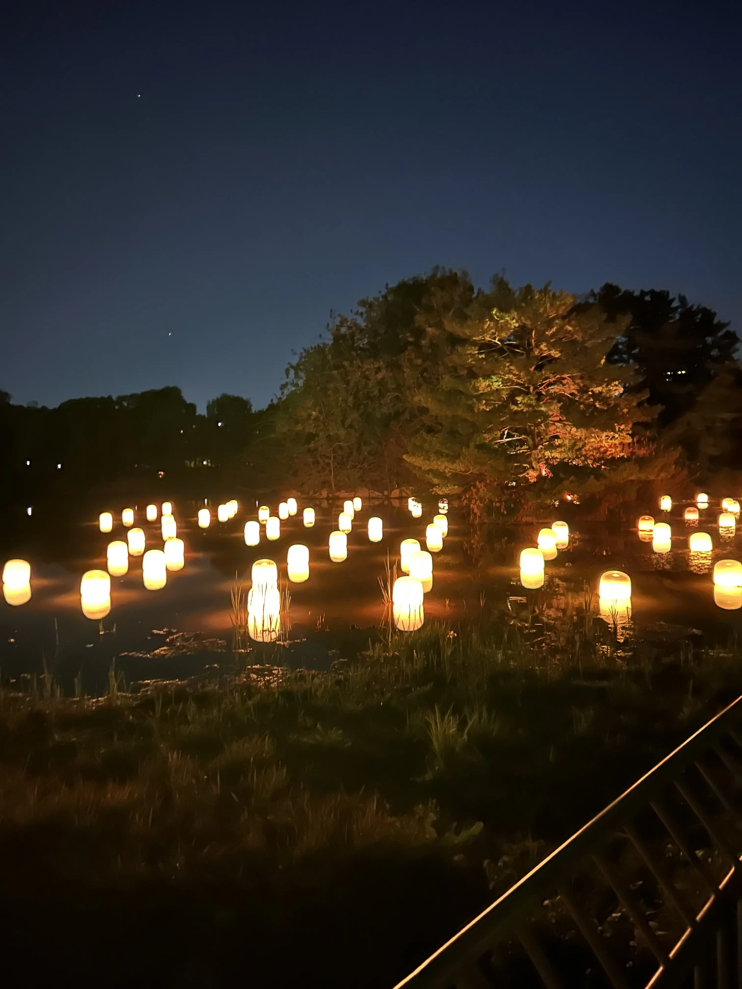 幻想的な夜✨✨　チームラボ　ボタニカルガーデン_1_12