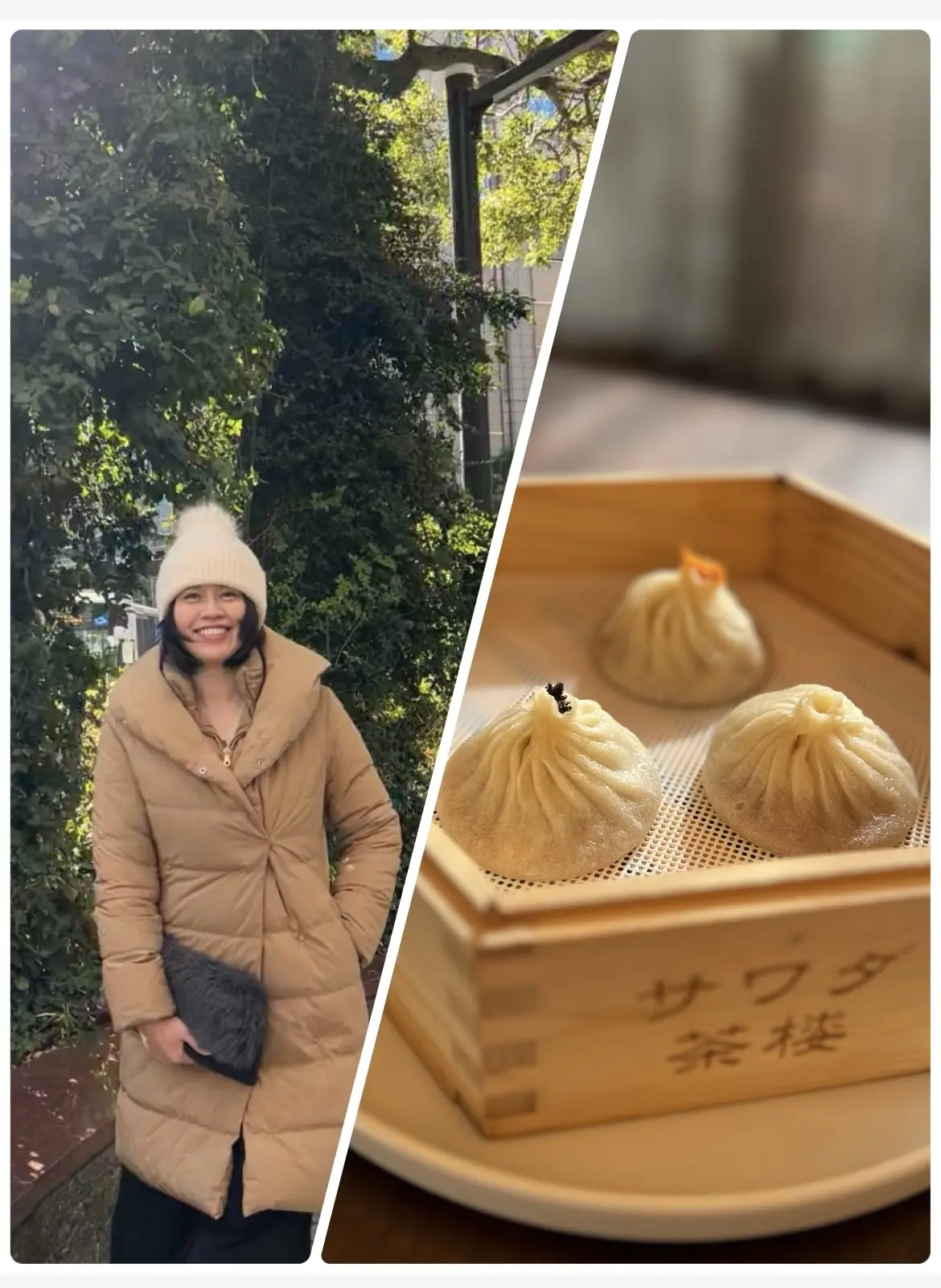 楽天市場】小籠包（総重量（g）100 ～ 199g）（食品）の通販
