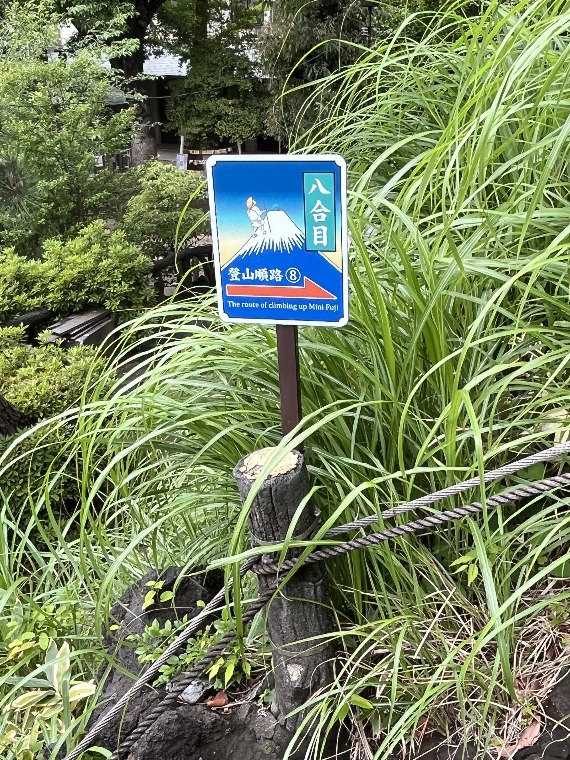 目白から千駄ヶ谷・新宿へ_1_16-1