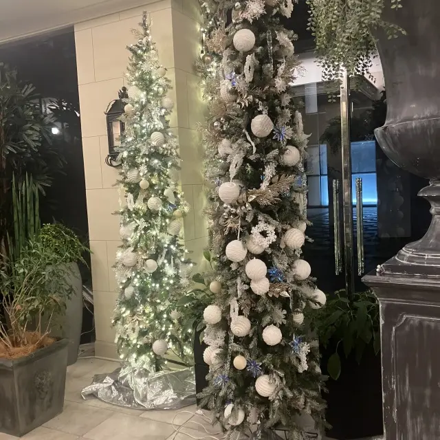 ソワレドゥエクラのコーディネート_1_3