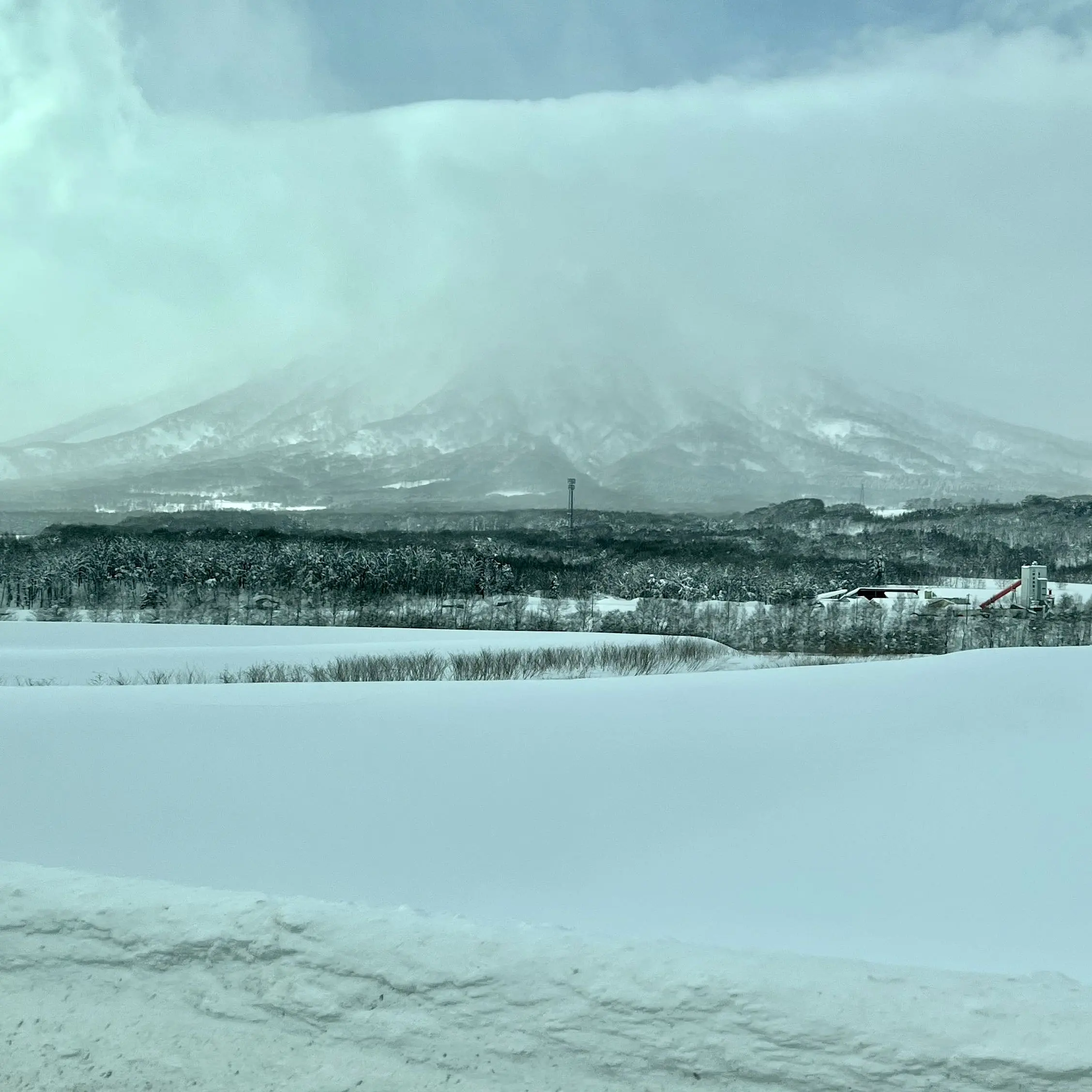 ニセコの雪景色（羊蹄山）