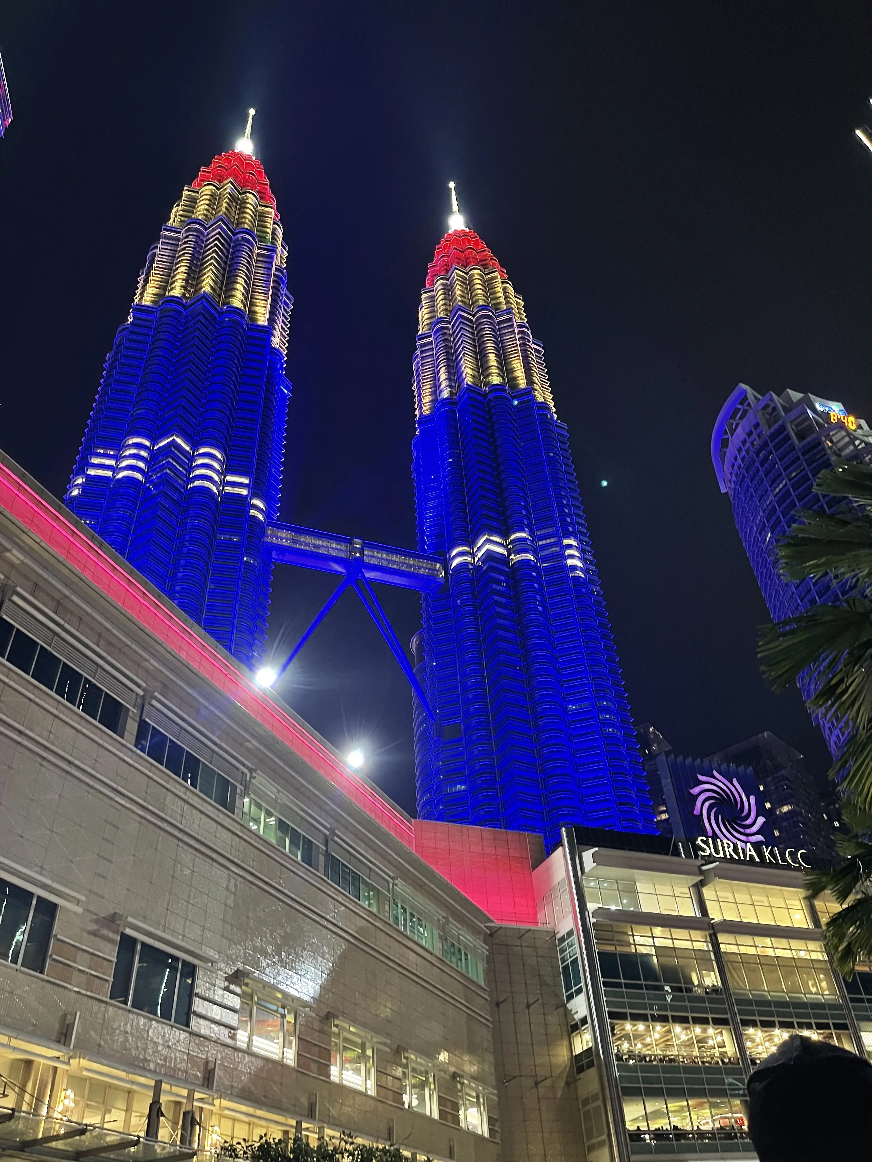食の宝庫✨クアラルンプールで味わった美味しいもの🇲🇾_1_19