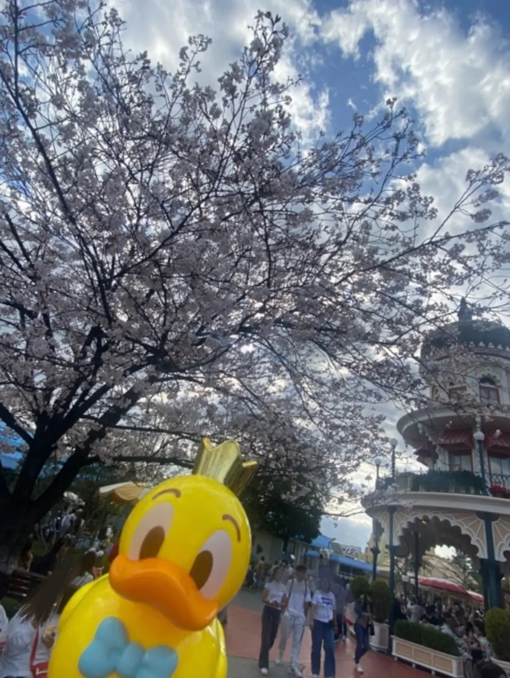 ひとりディズニーデビュー_1_4