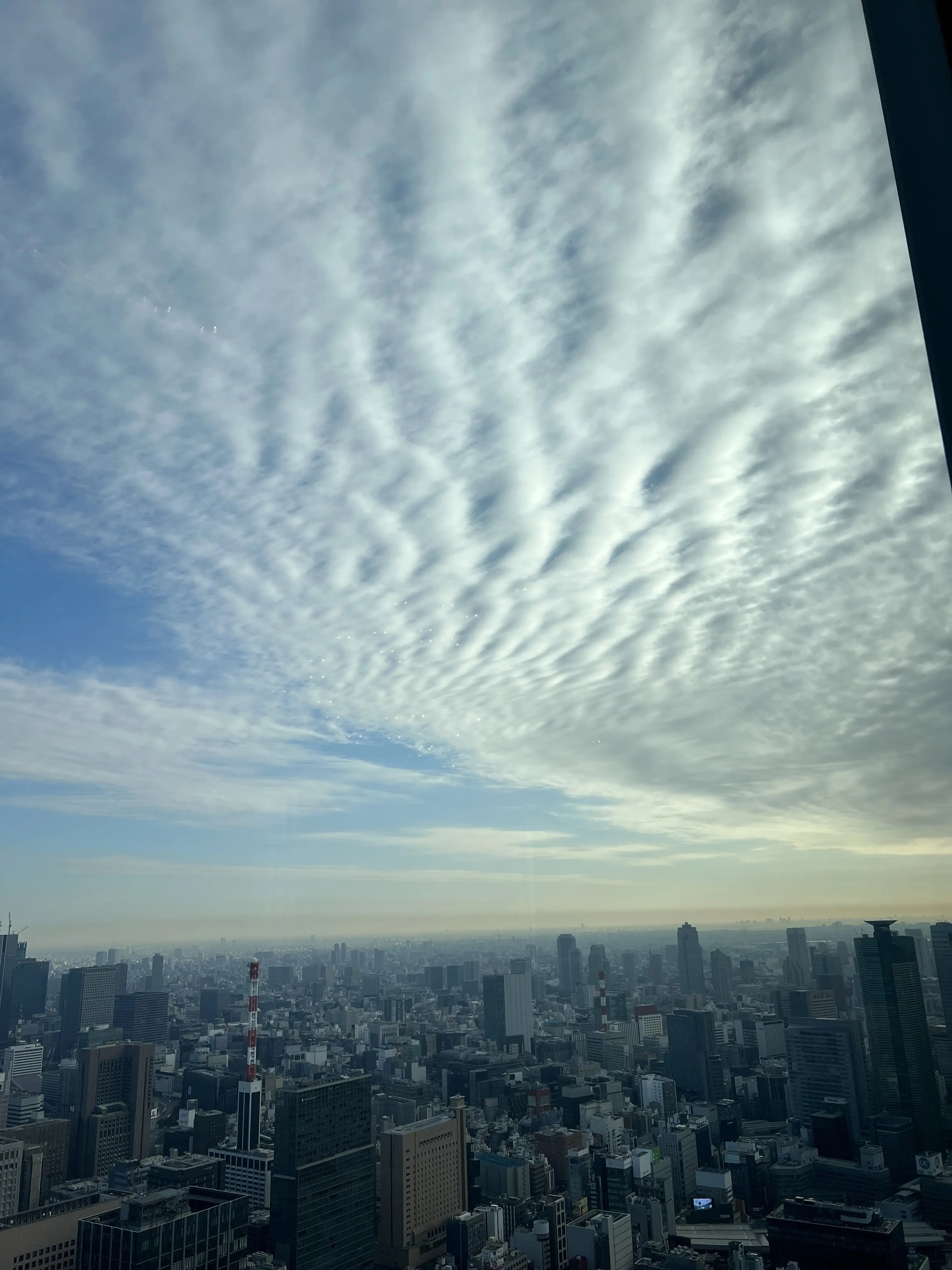 チルデンニットで朝活@アンダーズ東京_1_5