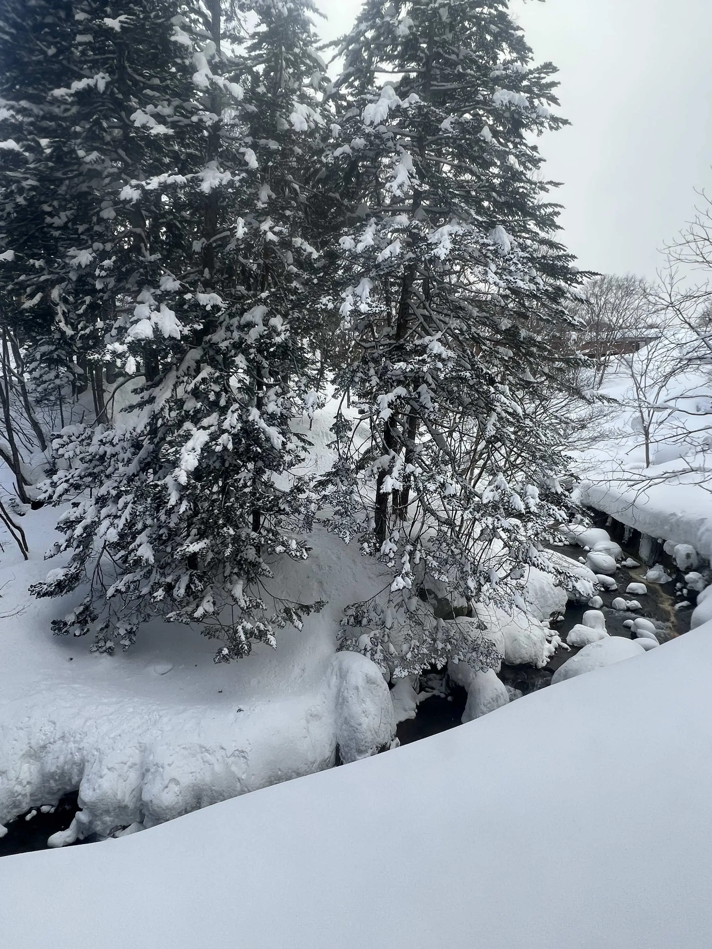 北海道ニセコ昆布温泉エリアの雪景色