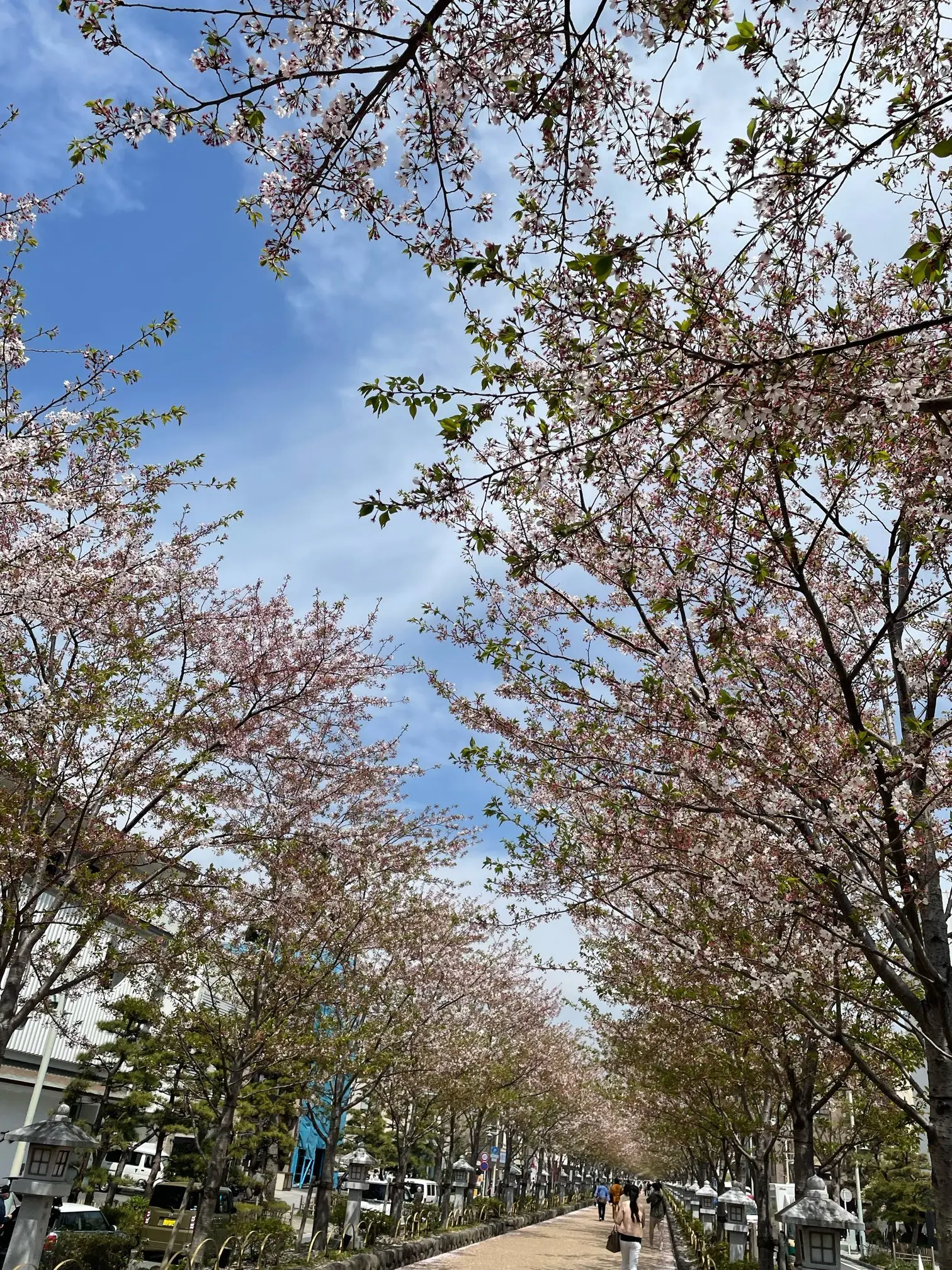 鎌倉ぶらぶら散歩_1_2-3