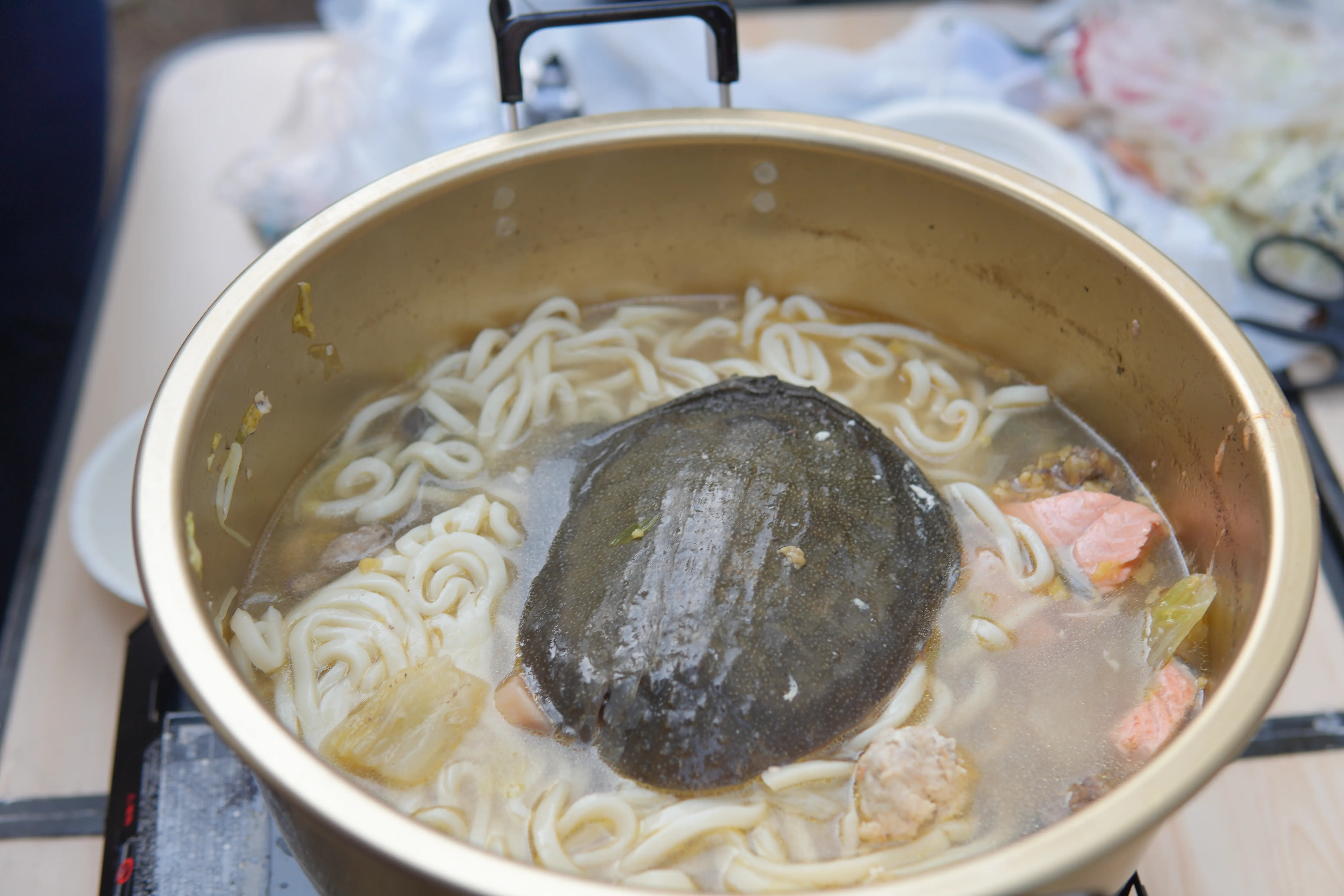 すっぽんの甲羅