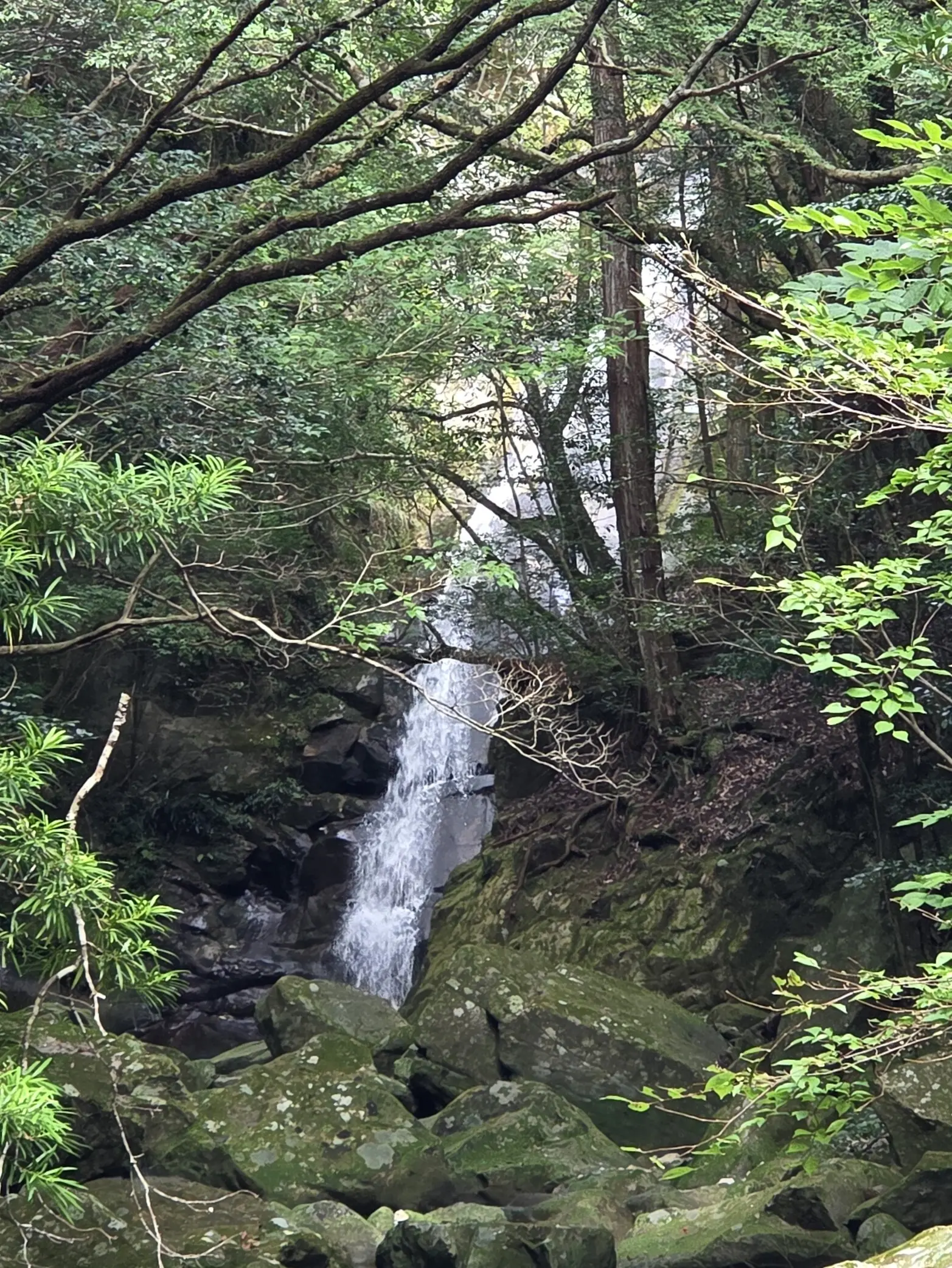 琴の滝