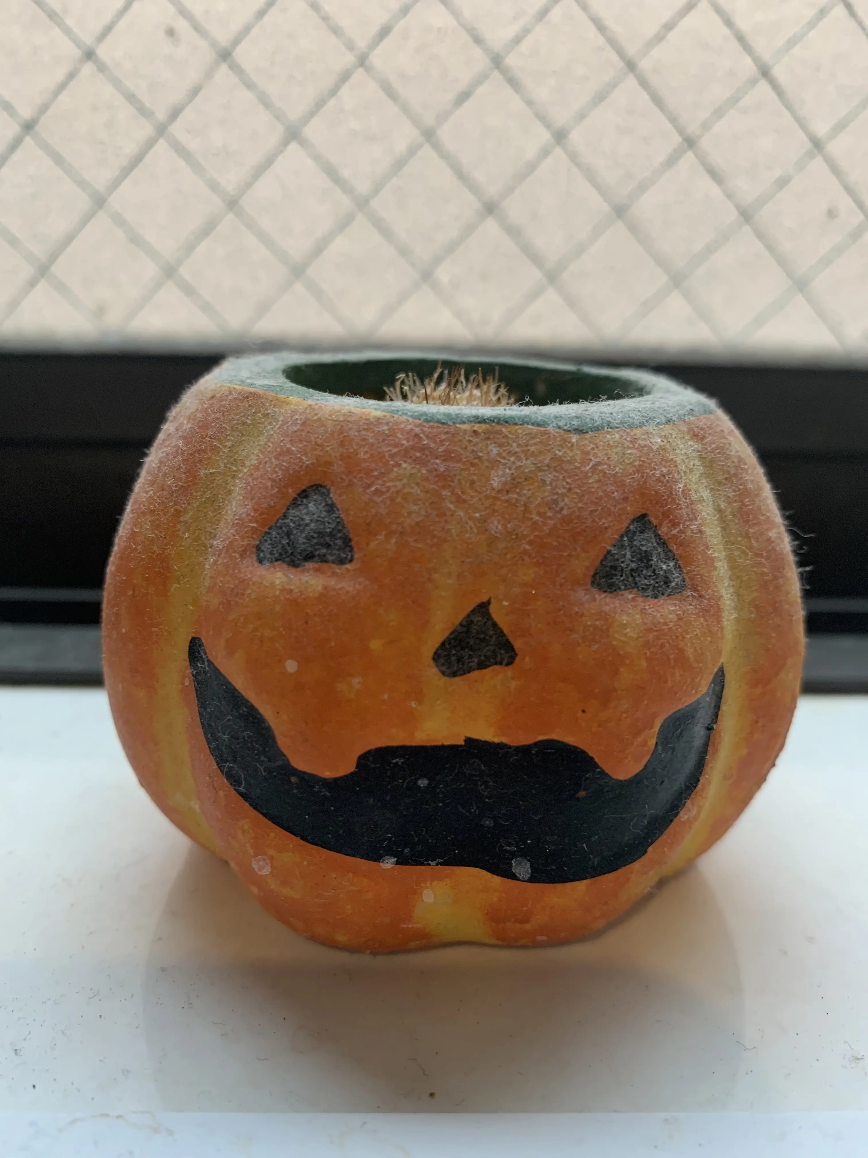 もうすぐハロウィン🎃_1_1