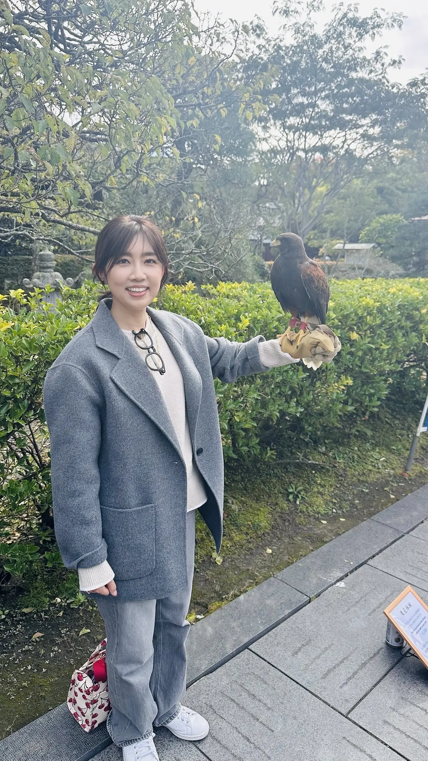 【秋の仙台旅行】「宮島」と「瑞巌寺」で鷹匠🦅にチャレンジ_1_9
