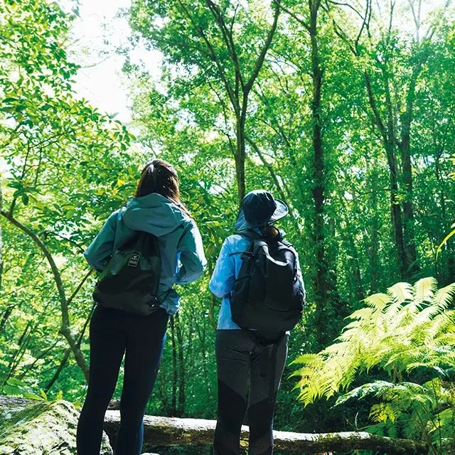 「自然の息吹に触れる」では、生物多様性に富んだ 森を探索