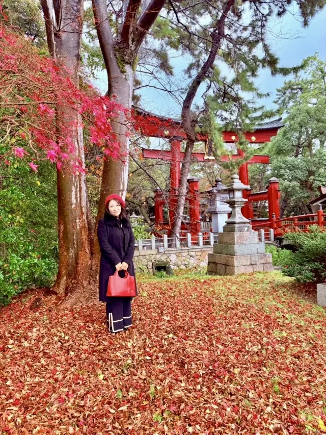 北陸の守護神「氣比神宮」へ 松尾芭蕉が愛した月と秋の風景に触れて…_1_2