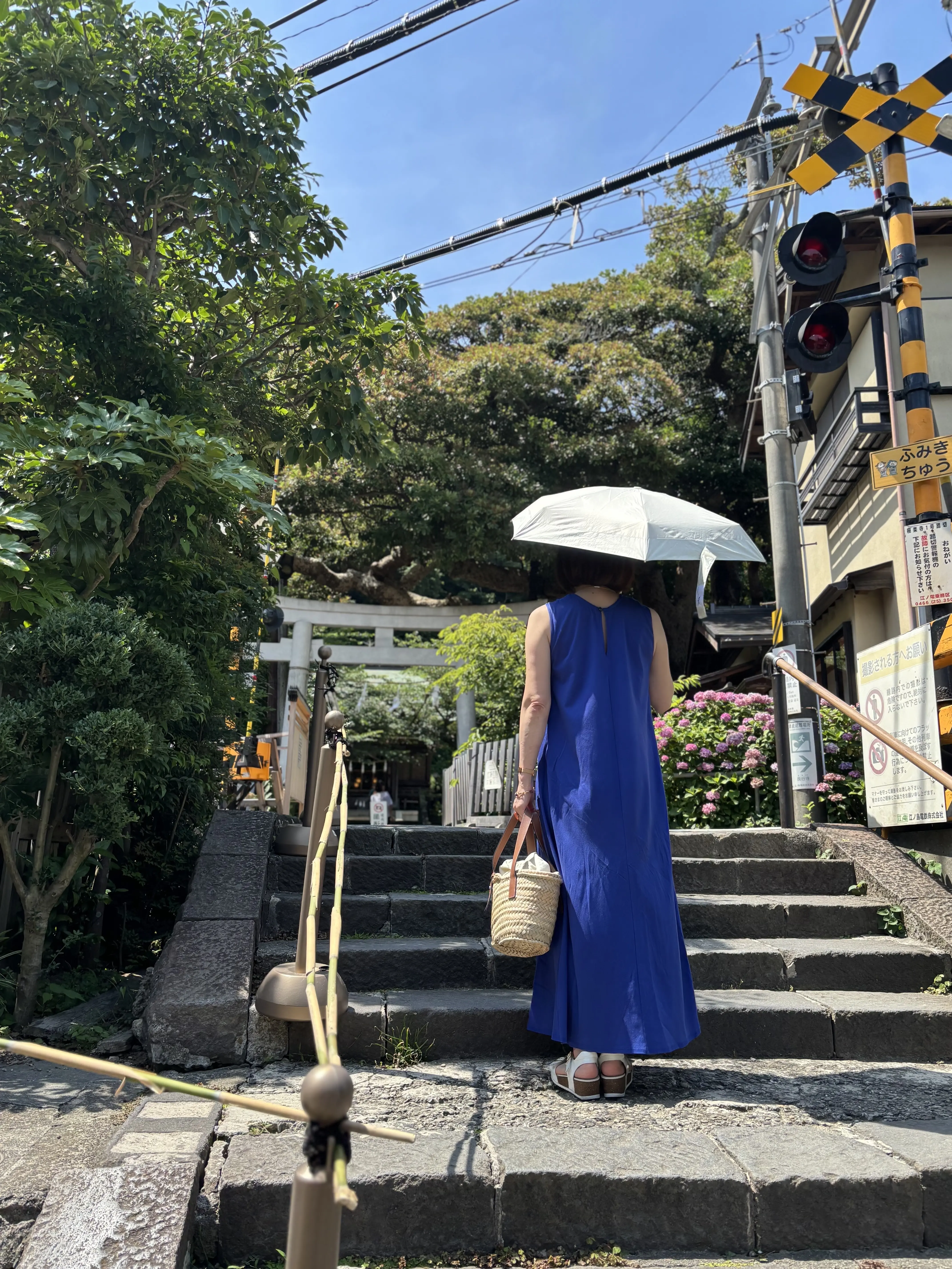 情緒あふれる鎌倉で、心ほどける和カフェ巡り_1_6