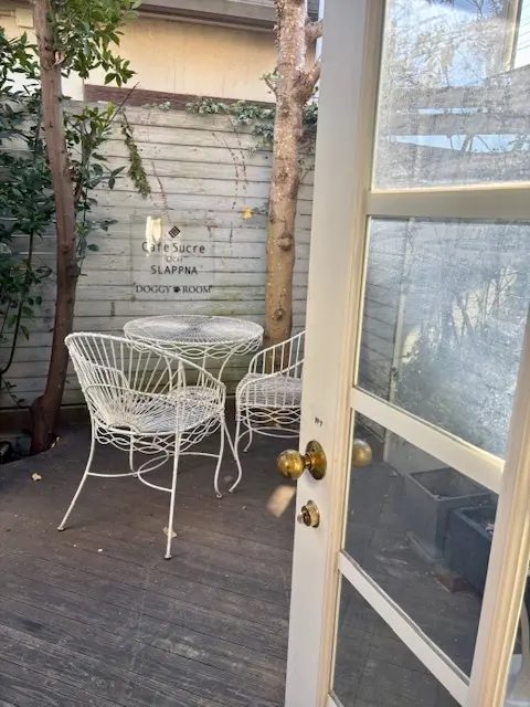 ワンちゃんとくつろげる北欧風カフェへ_1_4