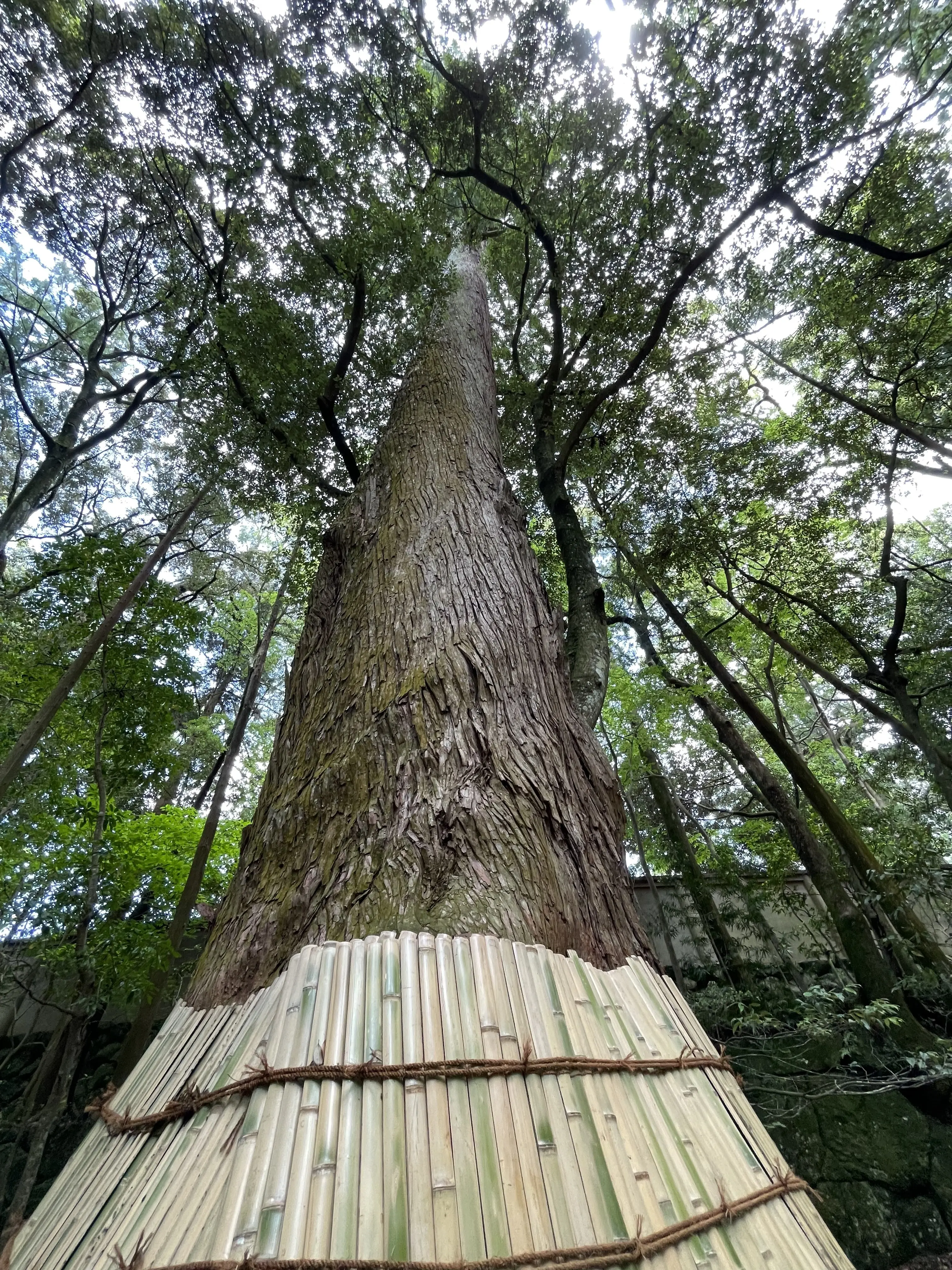 伊勢おかげ横丁〜徳力富吉郎版画館〜_1_3-1