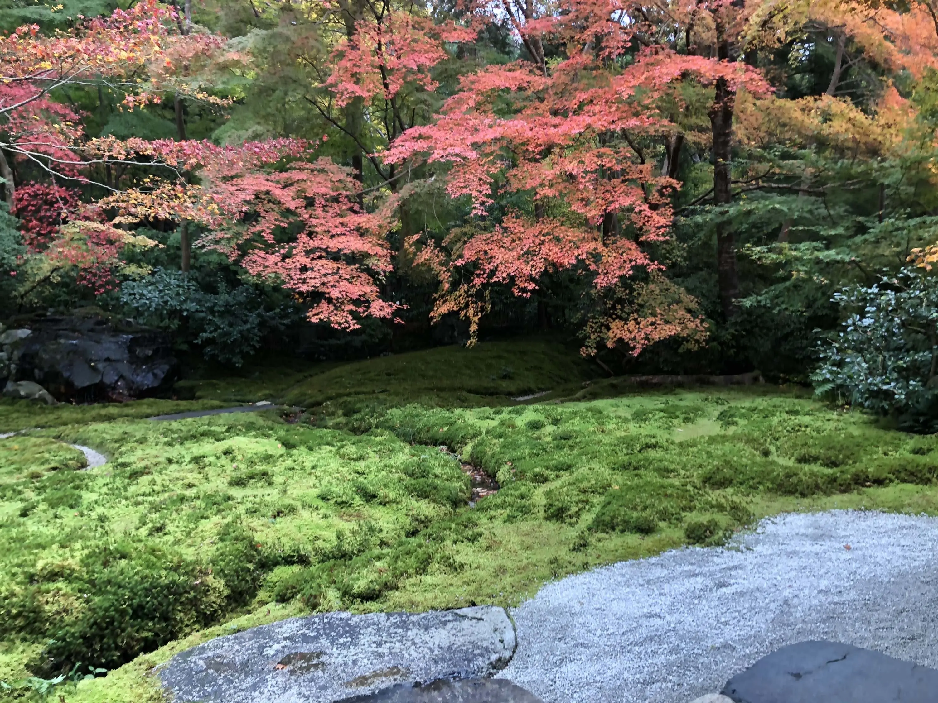 秋の景色を楽しむ♡京都の紅葉_1_10