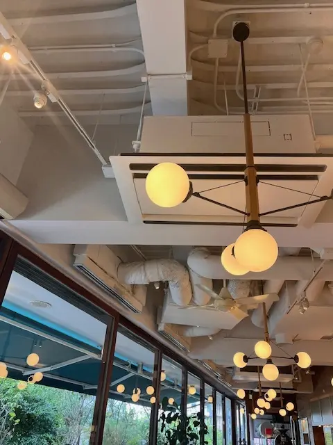 渋谷ランチからの念願のカフェへ_1_7