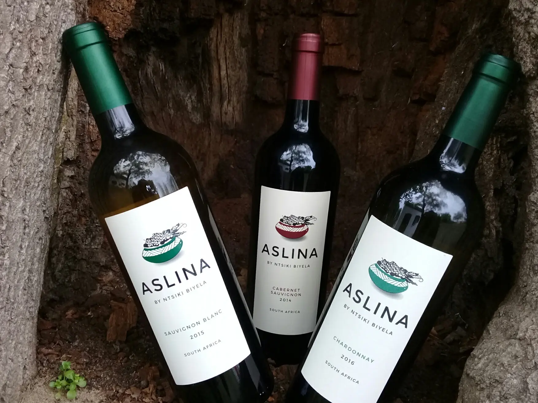 平和と希望のワイン「アスリナ」 南アフリカの黒人女性醸造家の“夢”とは？【飲むんだったら、イケてるワイン／WEB特別篇】_3_1