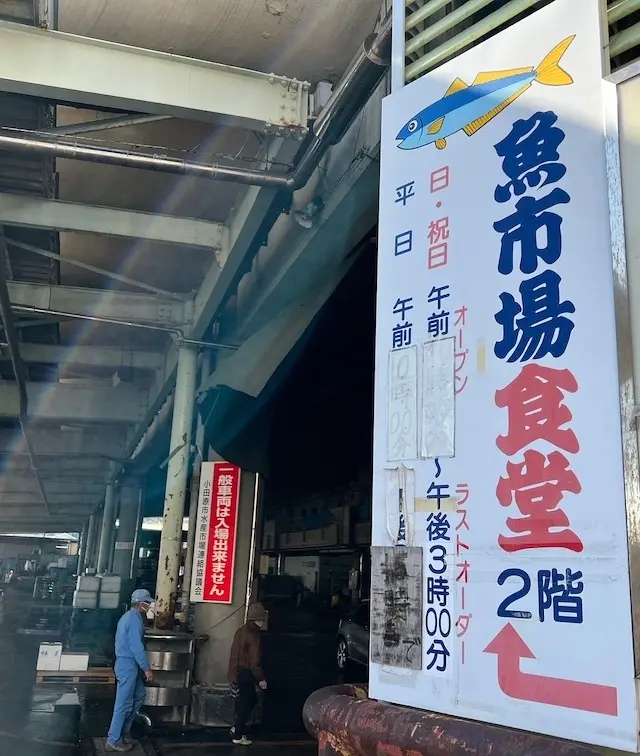 早川漁港　魚市場食堂　小田原