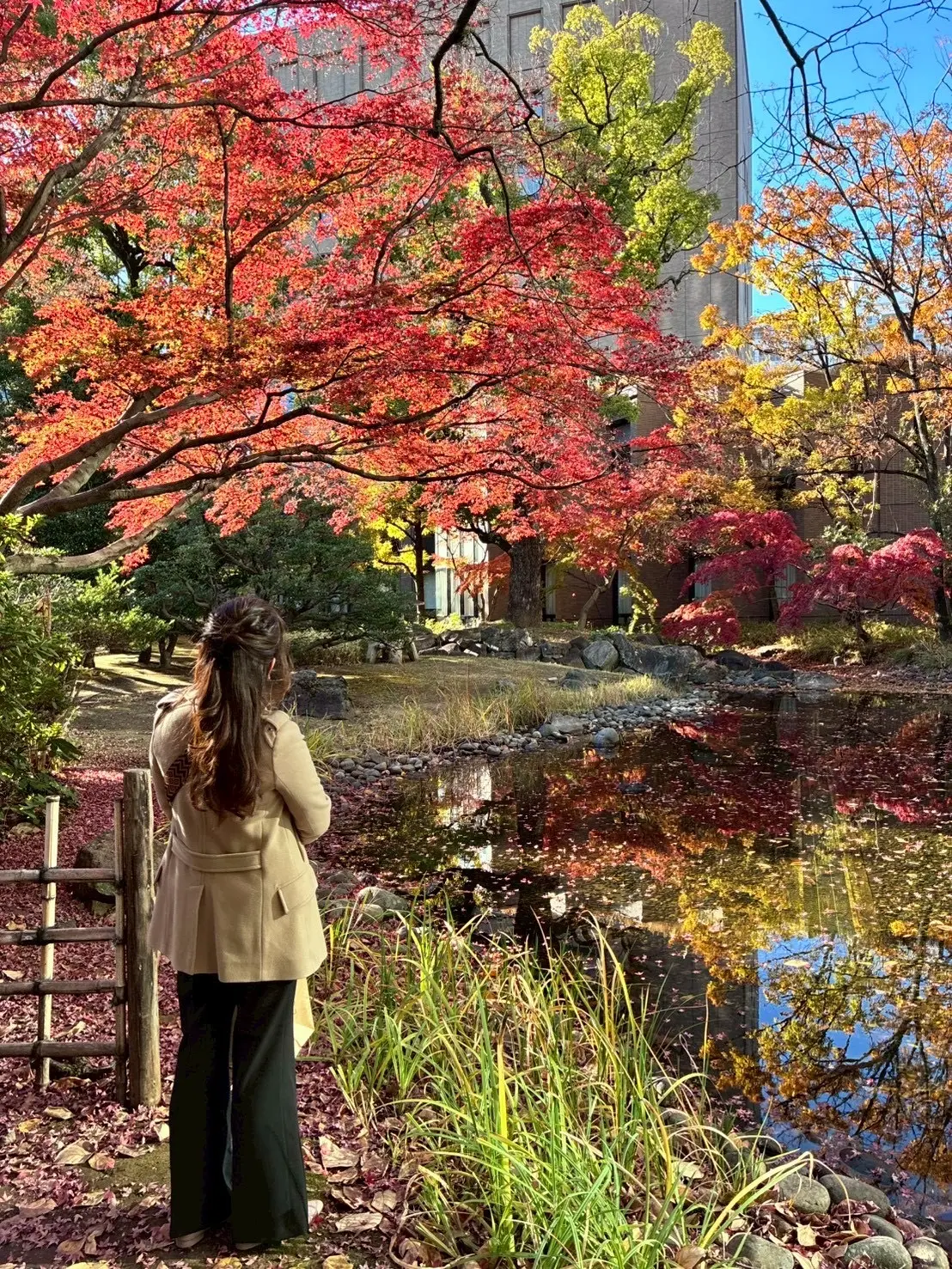 早稲田大学・大隈庭園の池に映る紅葉を眺める女性の後ろ姿。秋の大隈庭園、早稲田さんぽ、大学構内の紅葉スポット
