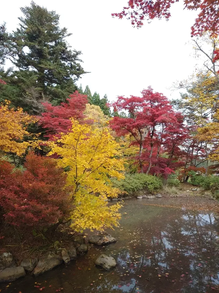 紅葉と池