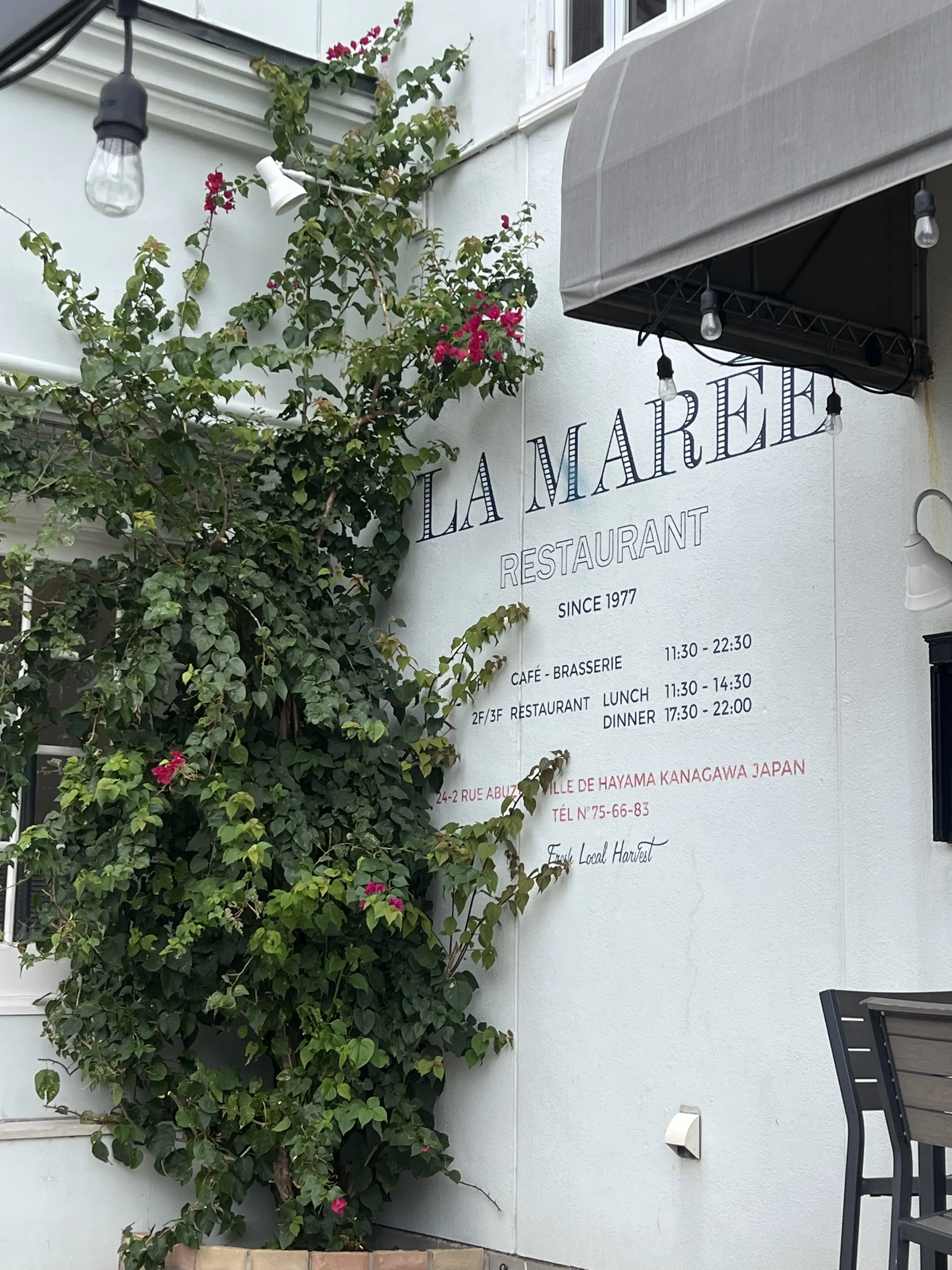 1977年創業のLA MAREE