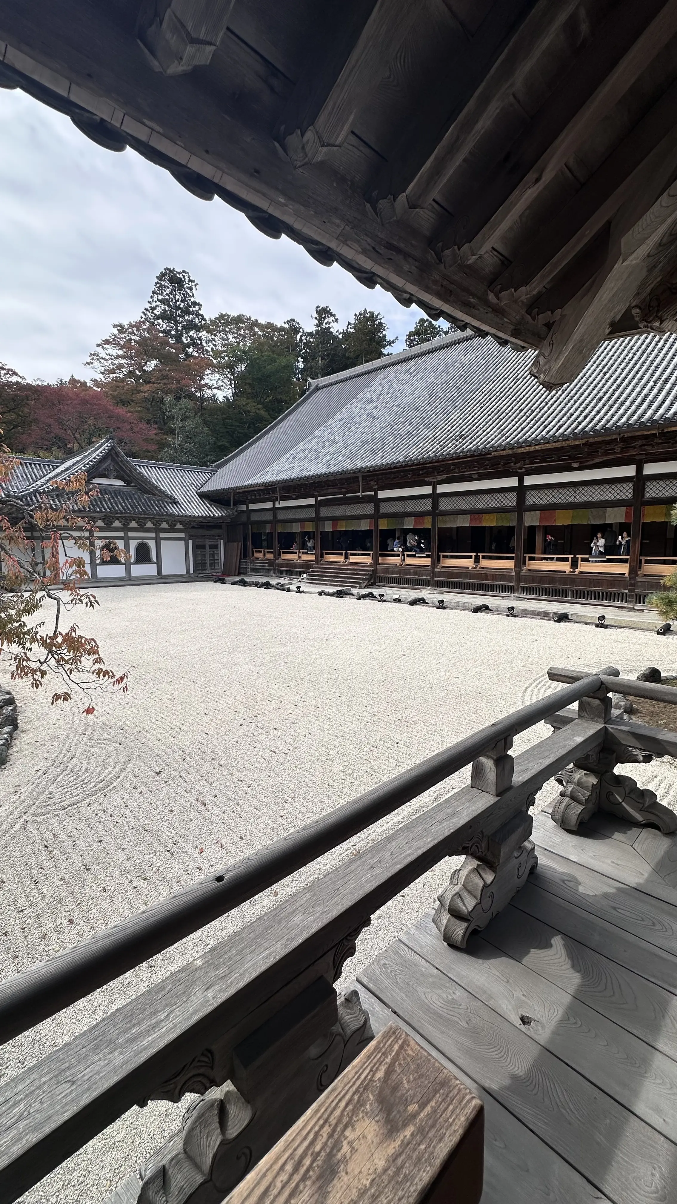 【秋の仙台旅行】「宮島」と「瑞巌寺」で鷹匠🦅にチャレンジ_1_13