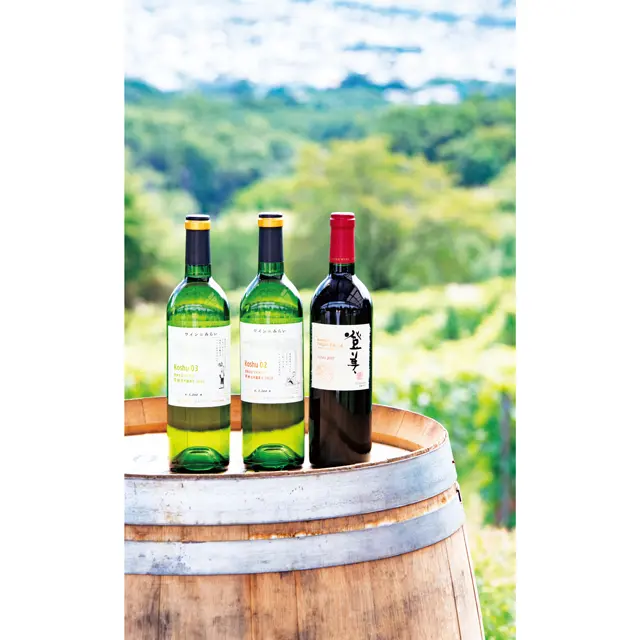 （左から）日本ワインの価値を発信する「SUNTORY FRO M FARM」ブランドより「ワインのみらい 登美の丘ワイナリー 甲州若木園育ち」（03） 750㎖ ¥5,720、「ワインのみらい 登美の丘ワイナリー 甲州古木園育ち」（02） 750㎖ ¥6,490、「登美」750㎖ ¥16,500。この地のブドウのみを使用