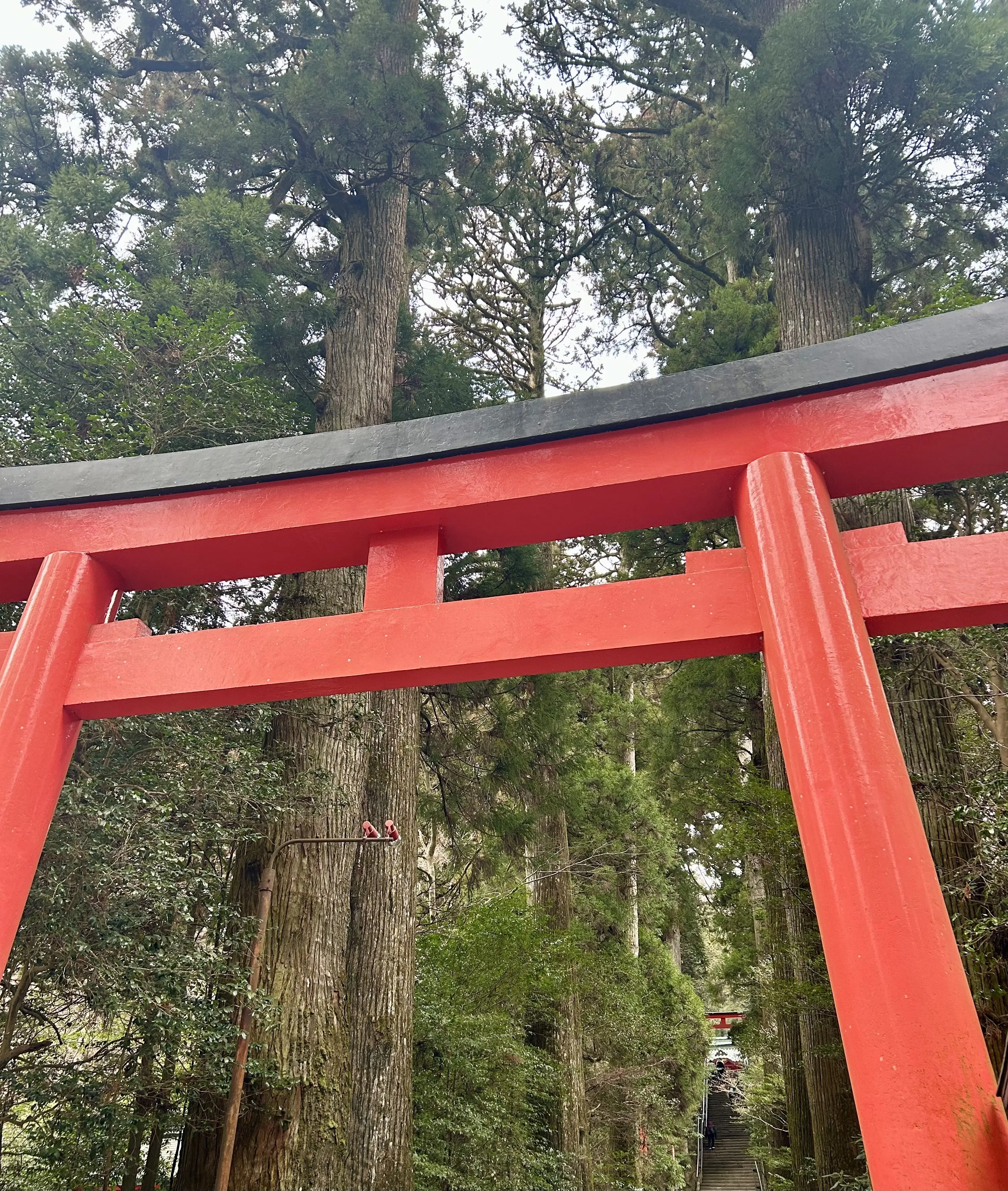 箱根神社へ新年のご挨拶⛩️_1_1