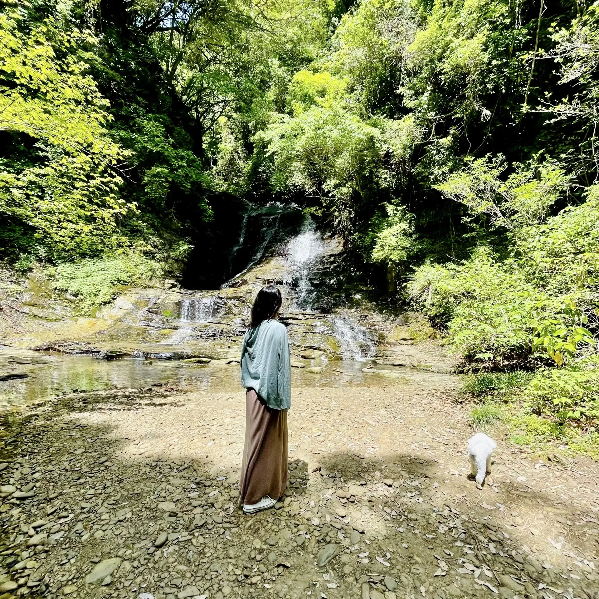 千葉の養老渓谷「万代の滝」、私、愛犬ハッピー