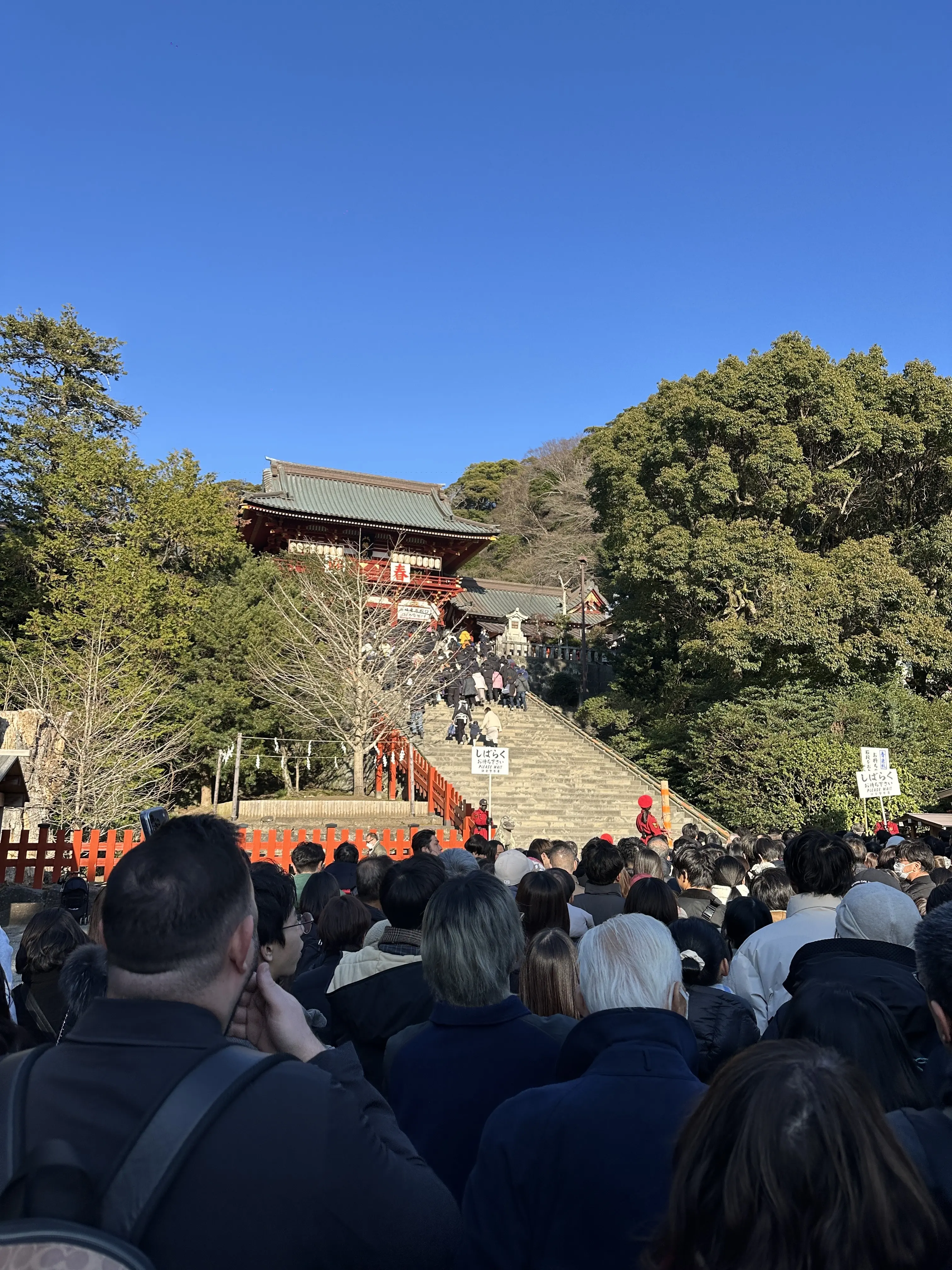 鶴岡八幡宮　初詣　お正月　神社　お参り