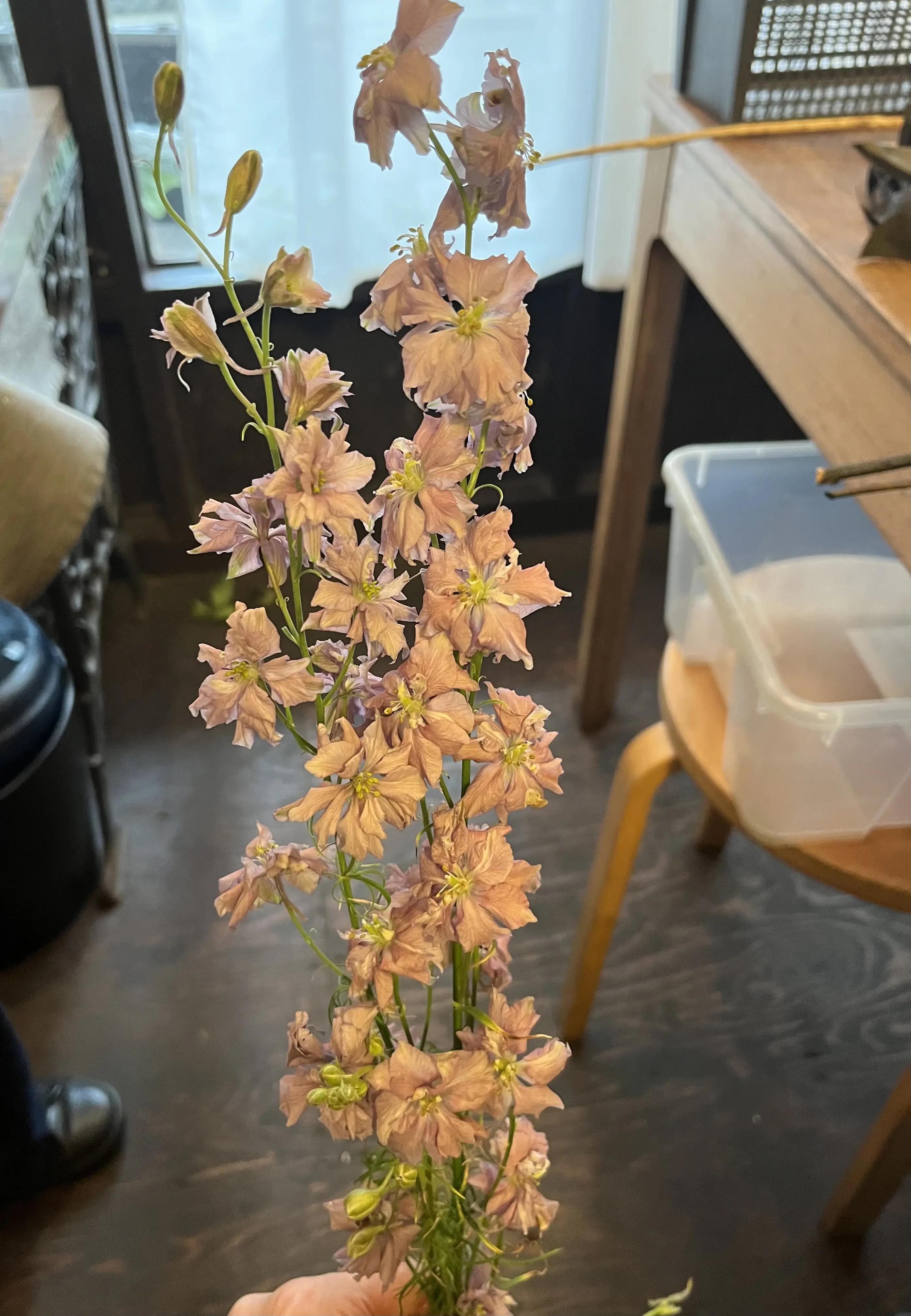 初めて選んだお花でブーケ_1_8